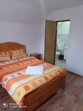 Vila Bucovina